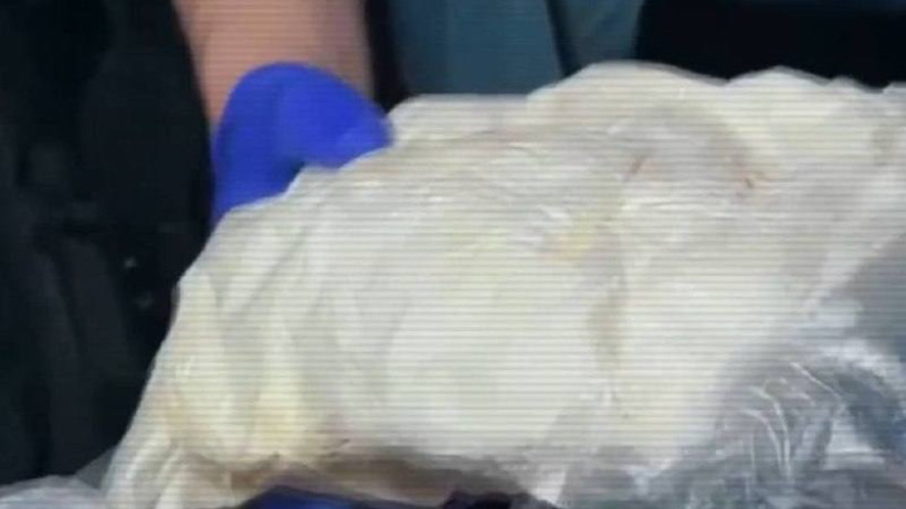  Видеодан кадр 