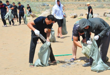 60 чемпионов приняли участие в плоггинге на Шардаринском водохранилище