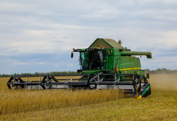 88% потребности аграриев в семенах покрываются отечественной продукцией