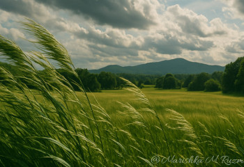 Погода в Казахстане на 24 мая: дожди и сильный ветер в центре и на востоке страны