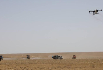 Министр ауыл шаруашылығы алқаптарын шегірткеден қорғау шараларын күшейтуді тапсырды