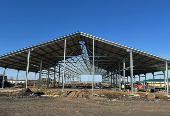 В селе Ташкентке запустят современную молочно-товарную ферму на 400 голов КРС