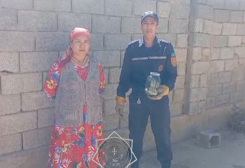 Шымкентте тұрғын үйден жылан шықты