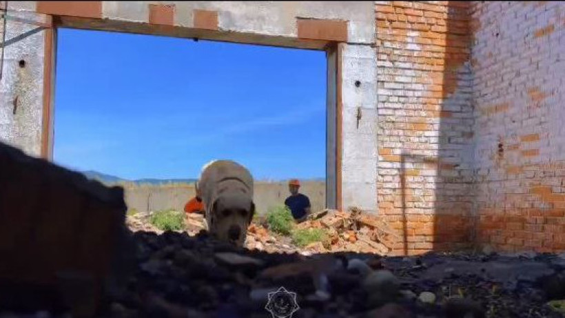  Видеодан кадр 