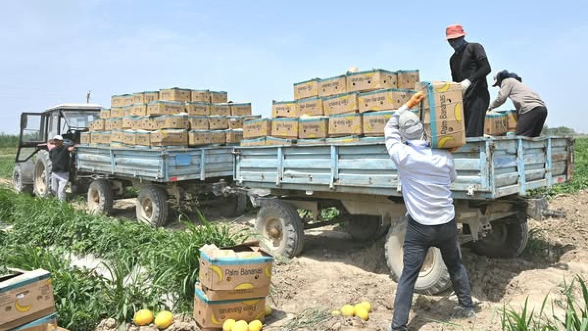  Өңірлік коммуникациялар қызметі 