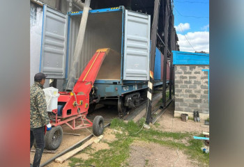 Казахстанское зерно отправили во Вьетнам впервые за семь лет