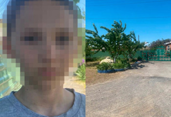 Зейнеткер шие ұрлаған балаларға оқ жаудырды