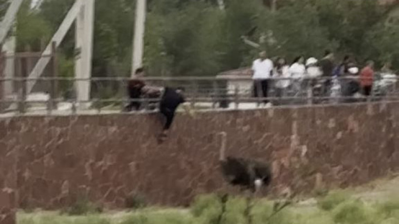  Видеодан кадр 