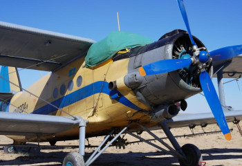 На юге Казахстана саранчу уничтожают с помощью дронов и авиации