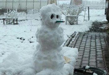 Көрші елді қар басты