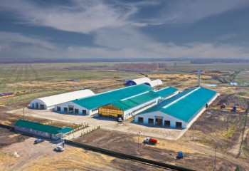 Северо-Казахстанская область укрепляет статус лидера в молочном животноводстве