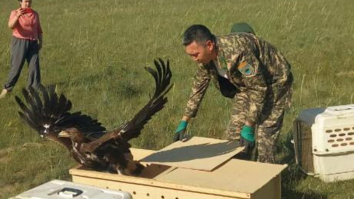  Экология және табиғи ресурстар министрлігінің баспасөз қызметі 