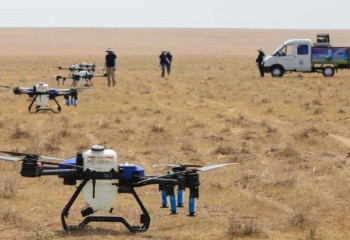 Шегіртке «шабуылына»  қарсы қандай шаралар атқарылып жатыр?