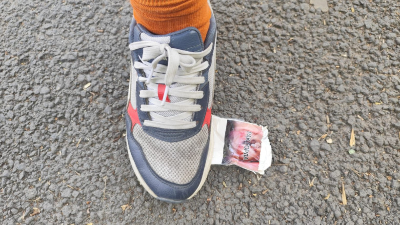  © El.kz/Татьяна АЛАДЬИНА 