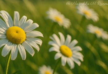 Прогноз погоды на 30 мая: жара до +36 и пыльные бури ожидаются на юге и западе Казахстана