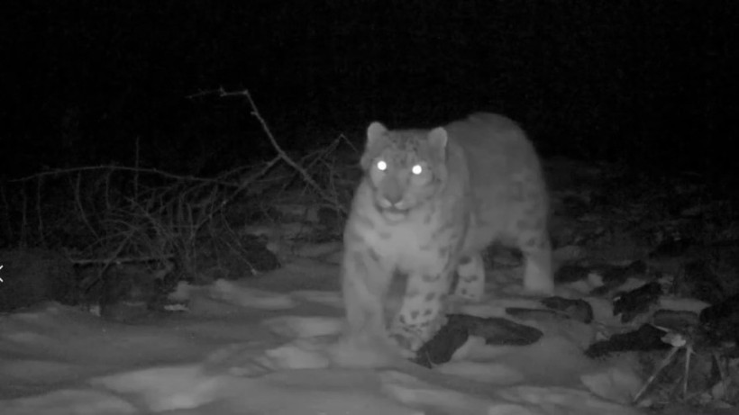  Скриншот видео 