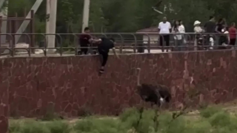  видеодан алынған кадр 