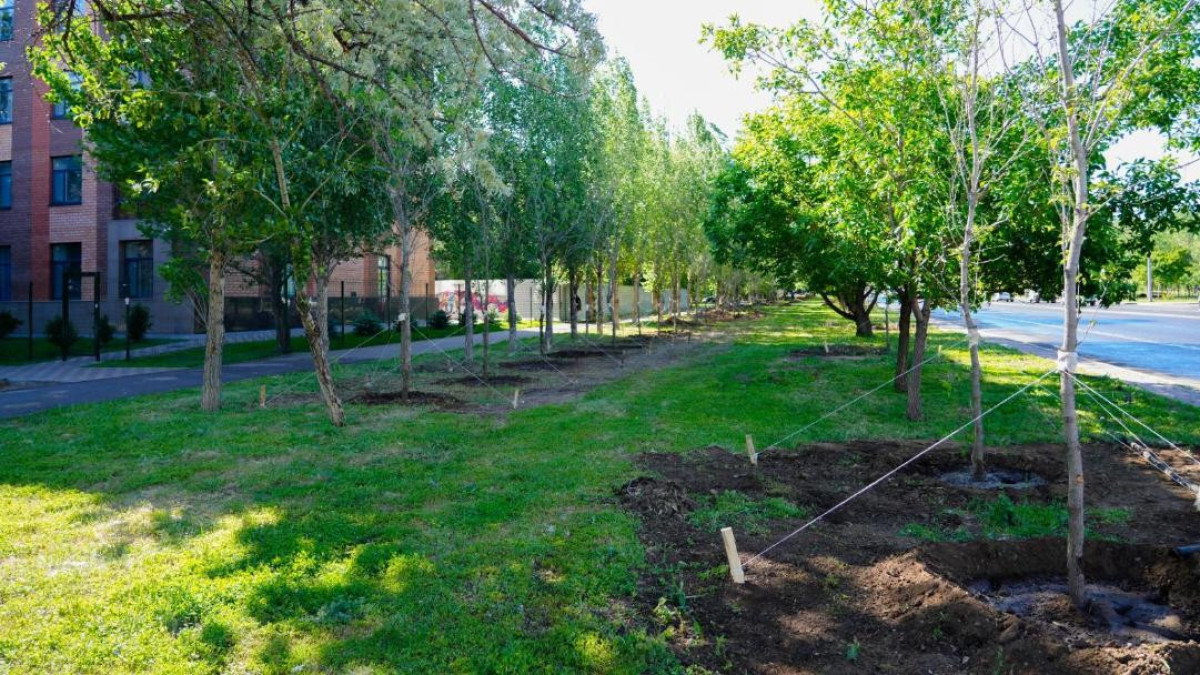  ©Пресс-служба акимата Астаны 