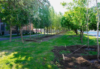 В Астане благоустроят 180 общественных и дворовых территорий до конца года