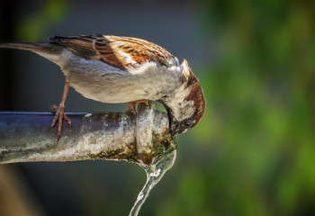 Маусымның басында ауа райы қандай болады