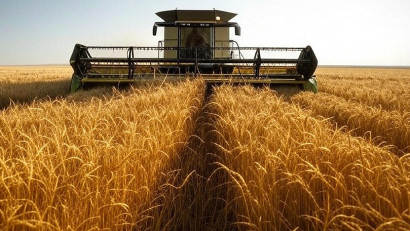  © Grok / Динмухамед БЕЙСЕМБАЕВ 