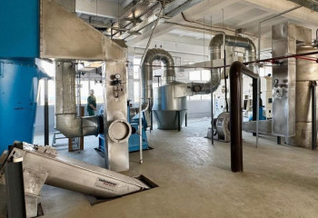 Проект с экспортным потенциалом 1 млн растительного масла и муки в год реализуется в Конаеве