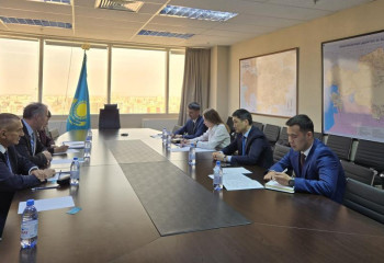 Германия заинтересована в продукции завода в Экибастузе