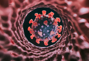 Енді қатерлі ісікпен ауыратындардың өмірі екі есе ұзарады