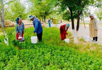 Қазығұртта «Бәріміз бірге – таза орта үшін» атты сенбілік өтті