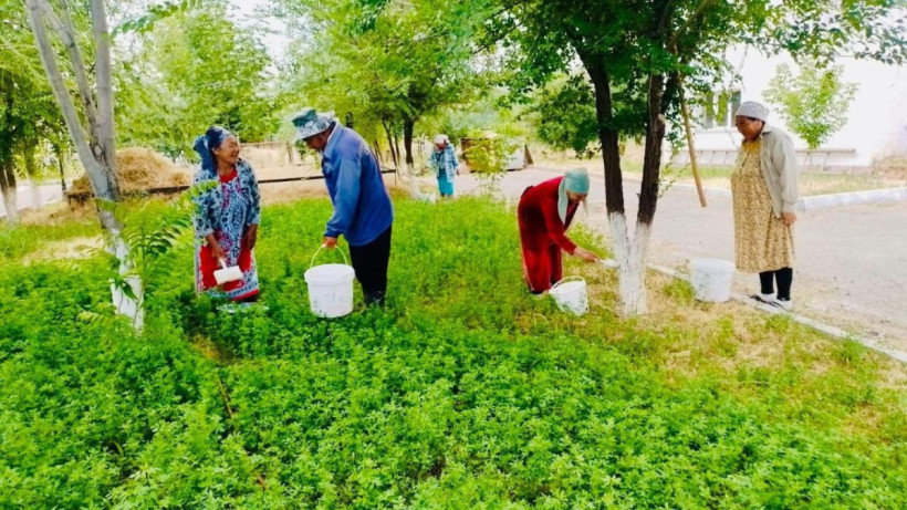  Түркістан облысы әкімдігі 