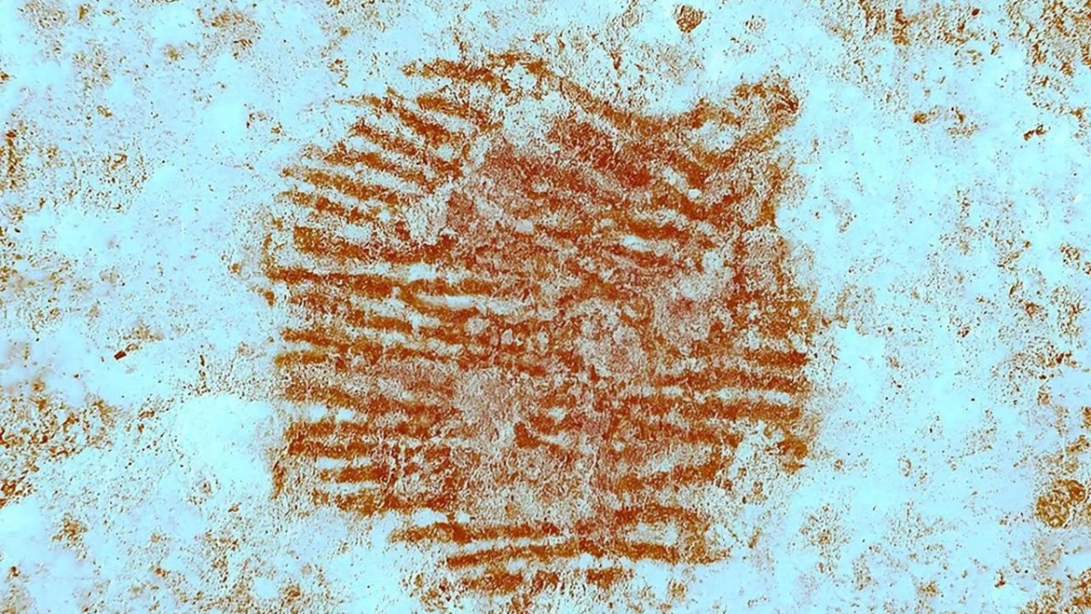  © D. Álvarez-Alonso et al., Archaeol Anthropol Sci 