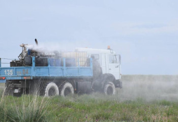 Ақтөбе өңірінде 500 мың гектар алқап шегірткеге қарсы химиялық өңделеді