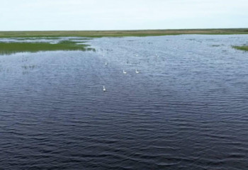 Таластың төменгі ағысындағы Қаракөл көлі суға толды