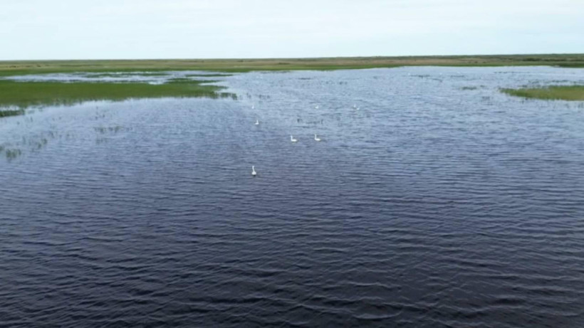  Су ресурстары және ирригация министрлігінің баспасөз қызметі 