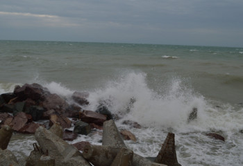 За время нереста в ВКО изъято более тонны незаконно добытой рыбы