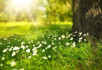 Өрт қаупі, дауыл, бұршақ: 4 маусымда ауа райы қандай болады