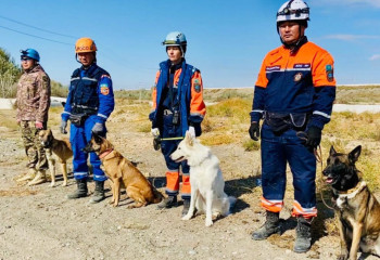 Четвероногие герои: в Казахстане сертифицированы десятки служебных собак для поисково-спасательных операций
