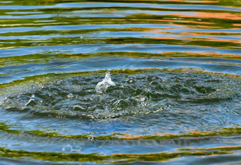 Орталық Азиядағы су ресурстарын ұтымды пайдалану жолдары