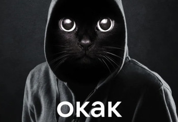 «Окак»: что означает захвативший интернет мем с котом в капюшоне