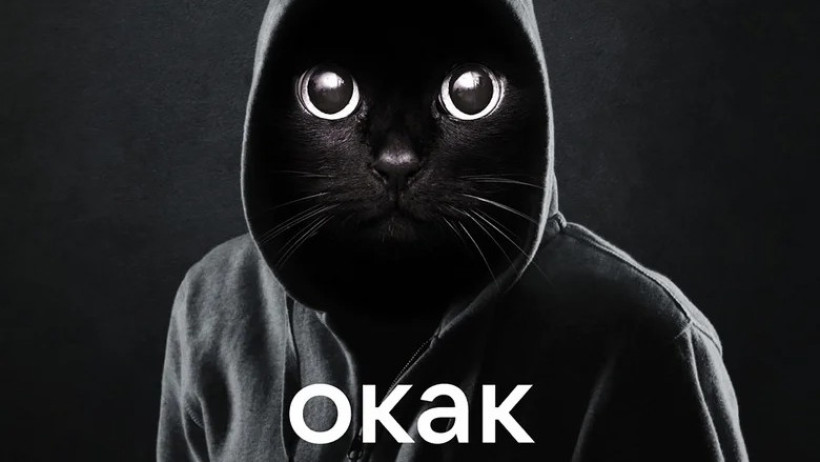  Фото из открытых источников 