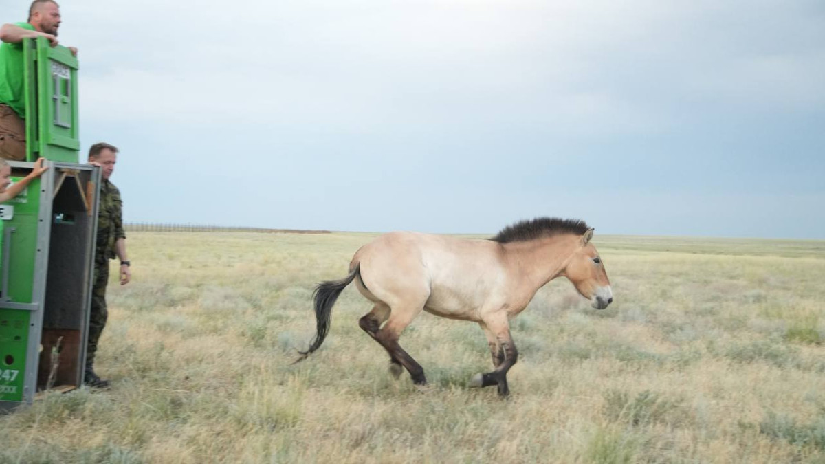  Комитет лесного хозяйства и животного мира 
