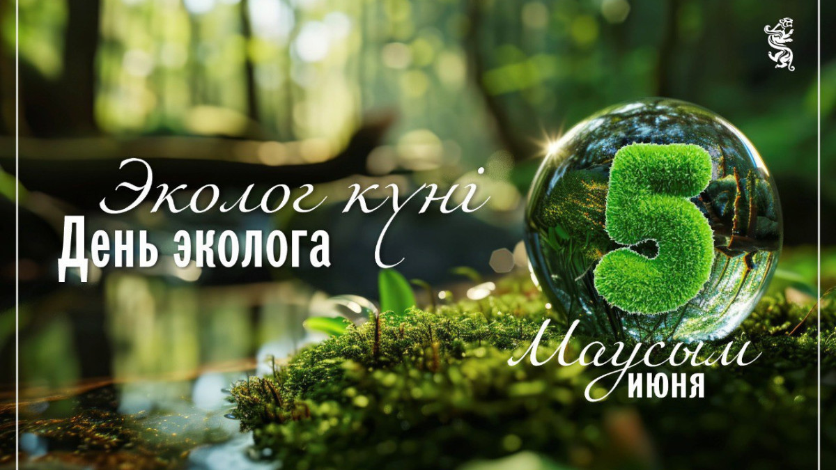  ortcom.kz 