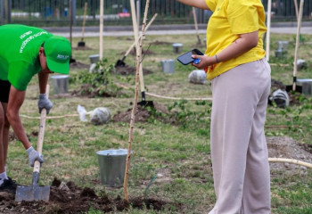 76 миллионов сеянцев высадят в Восточно-Казахстанской области