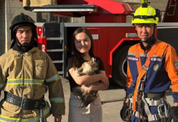 Столичные спасатели пришли на помощь кошке