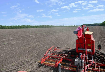 В Казахстане успешно завершена посевная кампания