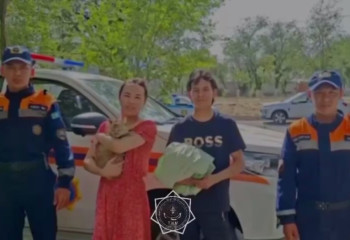 Спасатели спустили кошку с дерева