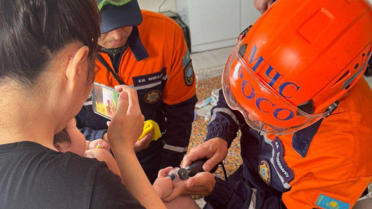  Видеодан кадр 