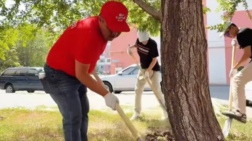  Видеодан кадр 