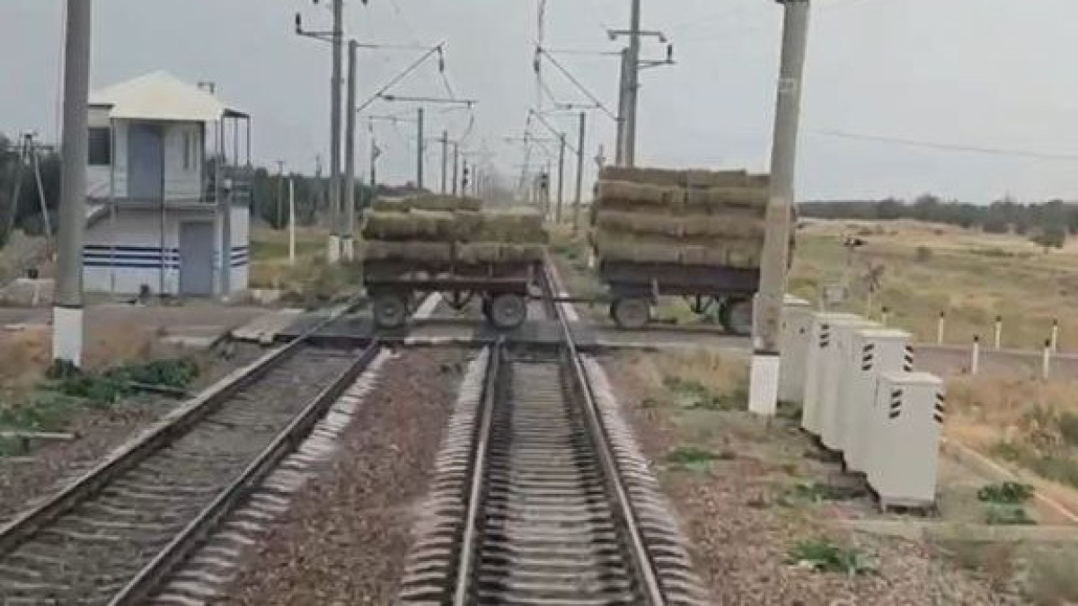  Видеодан кадр 