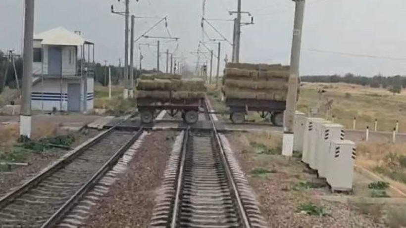  Видеодан кадр 